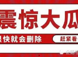 娱乐吃瓜八卦图,吃瓜图鉴背后的明星秘闻