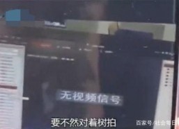 娱乐吃瓜酱偷电瓶,娱乐吃瓜酱的惊险一幕