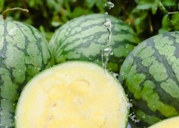 吃瓜网必看大瓜 王木木,揭秘娱乐圈背后的惊人真相